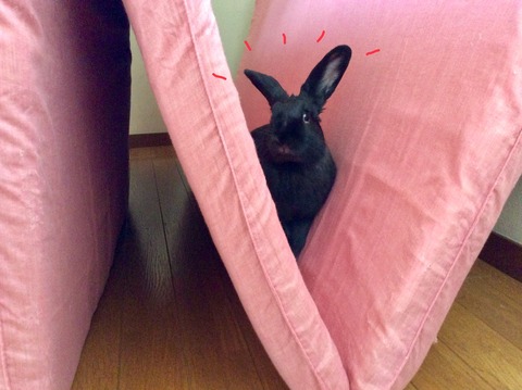 1173B863-0025-4101-98CD-7F0886C4F963