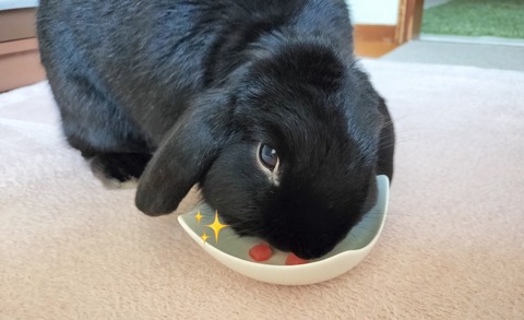 8964EEDE-E1C2-4B46-A5C7-722FB73DA9D2