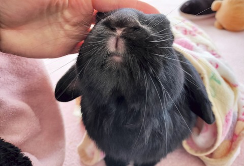 DCB333C0-0529-4FE8-9F40-4550BBF8BEB2