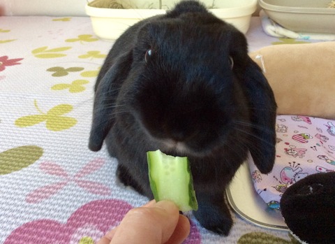 D95B0ACB-23BE-49F9-8776-86FD8B460179