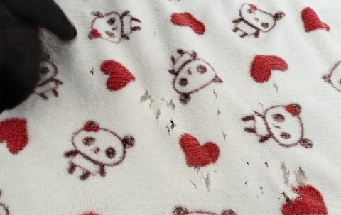 AF494F00-8D1D-42F3-BDA5-5508175931CA