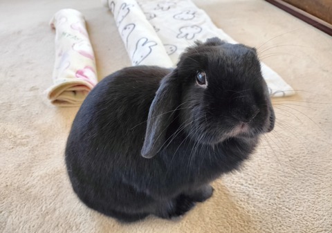 0313967D-2EB3-4C16-A6B4-6696A0F724D0