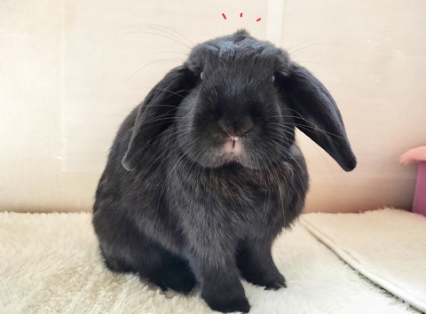 47CE5E13-F5FF-426E-9FBC-D41981F0A847