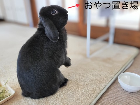 BF0EE3EE-1A85-40E0-9446-89910363B83C