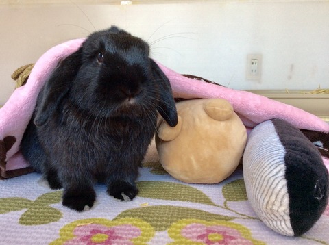 19A74177-6930-4520-A10F-5256C09AE8C2