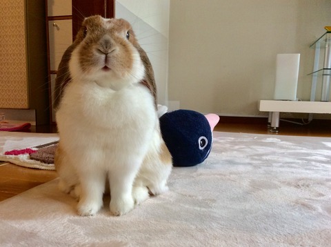 0A5F0C17-BB1A-4BAF-A290-20752EAD06A0