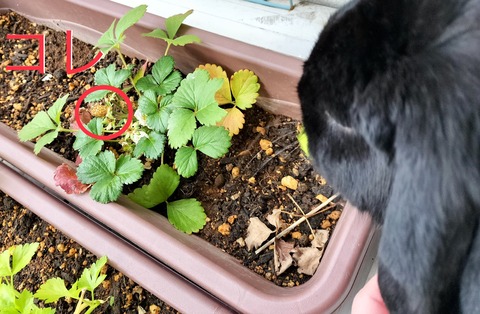 2154266E-C212-4403-A3D9-6AF995F45630