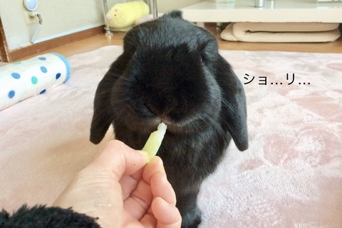 A72DE63F-1B8C-49FA-8B8D-66AEF78E94AB