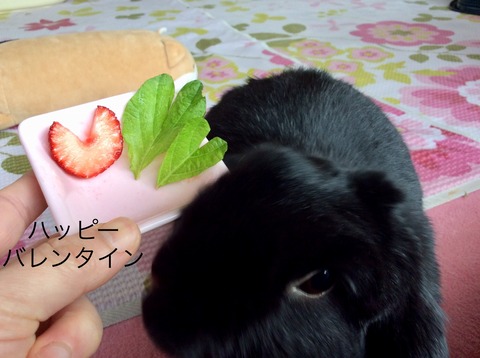 715C0438-3CAE-4D64-9AE9-E2B4CC569252