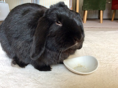 7DCB633A-0E15-4C01-AB02-F6870E9604BF