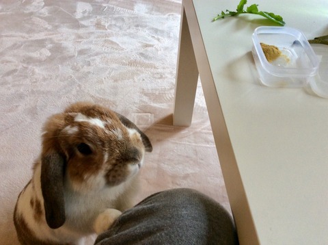 C93C283B-9B53-4EFE-979E-5C5112822624