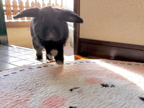 82A15014-FA3B-4D97-9C89-0A25A713403D