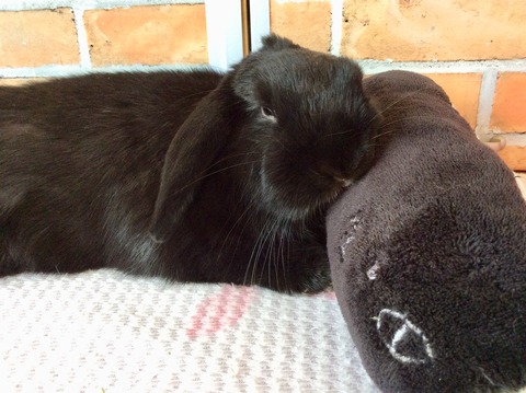 BFAD6298-F5D6-4632-BA2C-61E3E72E0ACE