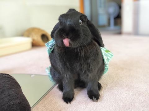 A0E2A401-4119-4979-8075-65021516C97D