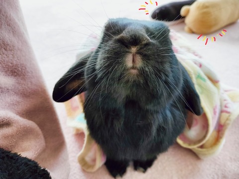 D7A285FA-9318-4805-991D-1C8C98A0C007