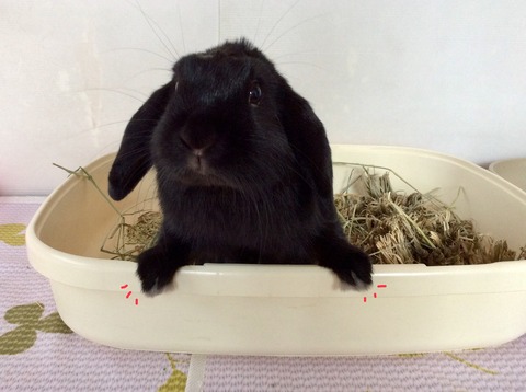 DFFA8495-6C5F-4B45-A792-71D576471900