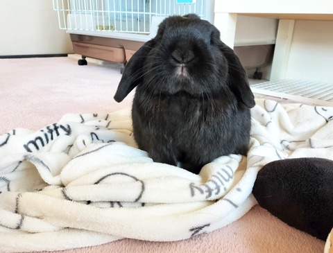 C65A9413-6F06-490E-AB3D-DA381FE1E42A