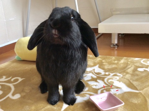 76BF42C7-AF07-4BBB-B664-F33659A2E031