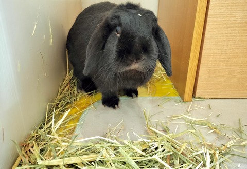 75AD0481-3BA1-4891-923C-C2C9183EC5BD