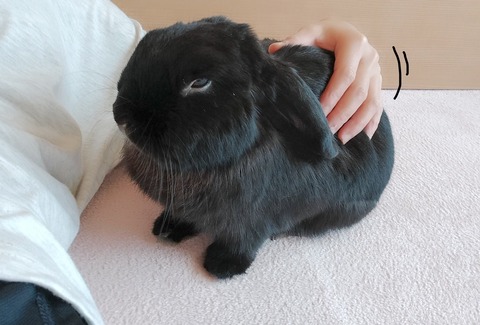 91E83E9A-F979-4D88-9CA2-B4E47B77A3D0