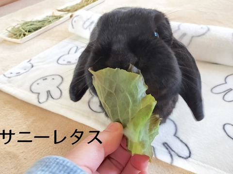 5C22B2D0-1AA8-40D0-B99D-5DE49B551C9A