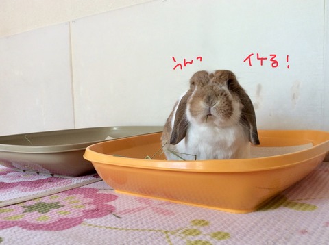 016D307B-FB2C-47A9-81F1-965F031F2BA3