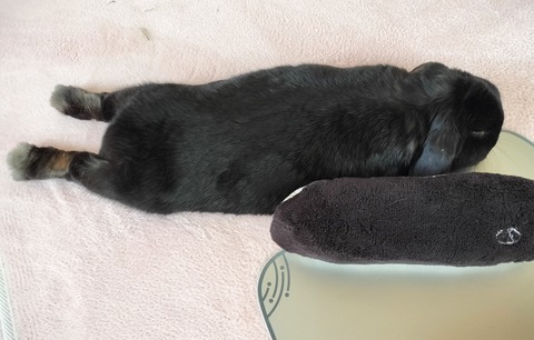 4832940F-4EDC-475A-810B-D01187E4E610