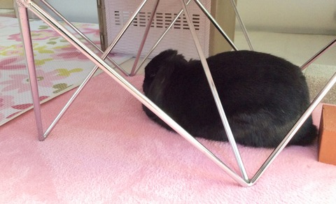 2B059160-7803-4B60-8895-80FCCA2E1562