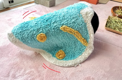 FC31D65E-E5D1-4610-8AAF-8130B7138F32