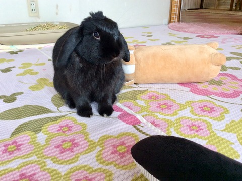 2D3F4695-1EE4-4B54-B262-E3F9E1DE6EE9