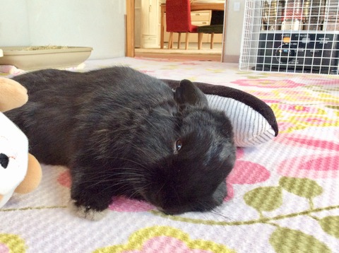 E47EF569-1F9B-4747-8A17-0578DCF7748B