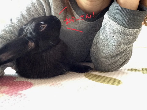 B9D0CE38-CDB2-4220-ACDF-B4F9AB0E2A2D