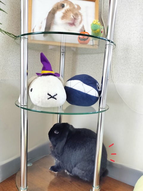 B1AC0D1C-CAC9-4309-AD07-66D6471F49BC