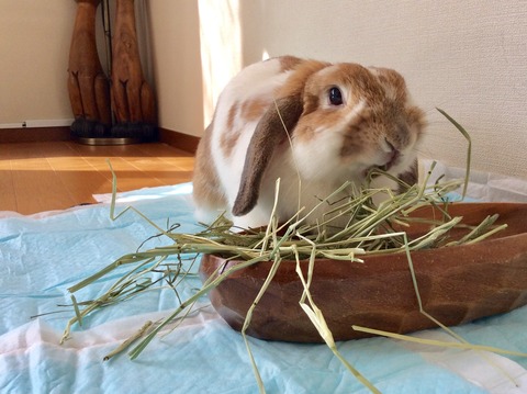 00597B4A-59EF-486F-82AD-61B0A74D4BF6