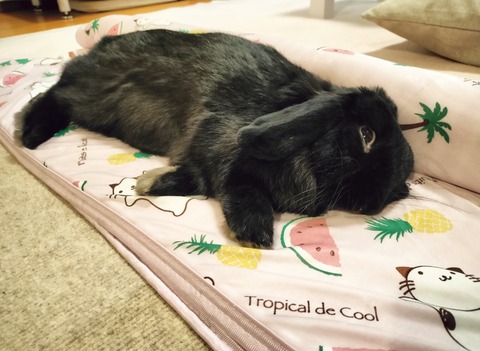 261BBF07-011B-4B43-9FA0-1CDEC2D0E8C4