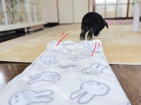 D60C433A-9CAD-4207-B48F-F2102993EDF6