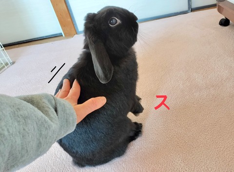 8968EF36-4E70-4775-BD09-6CE25D3B61F4