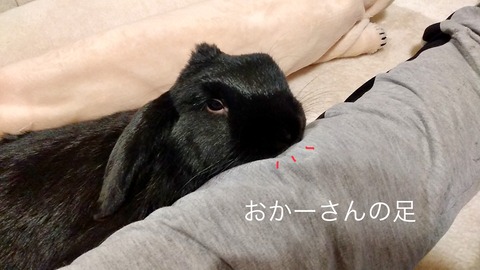 F140E0D2-641C-459F-8125-7261A27911C6