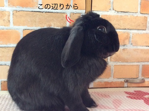 5FB38CA4-9430-4443-8770-F5307EE11DB0