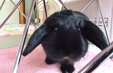 722ACB0E-670F-4F29-9F6D-4BC918EA62F3