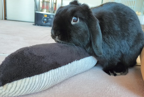 8CA4074C-634B-4C9C-B11F-BF87AA730741