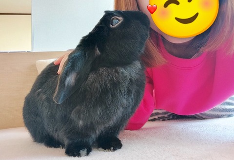 1CF0BDFF-1E5F-4294-93A5-8EB59AA64743