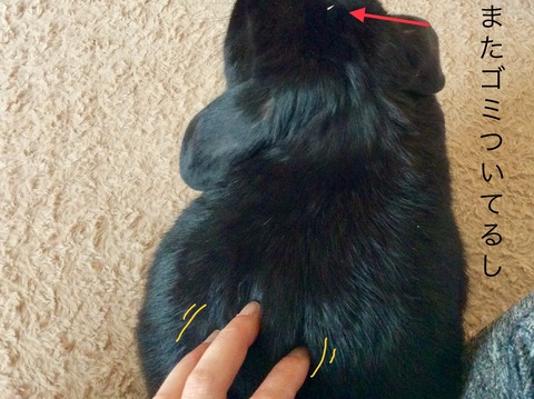 C646DA42-EFFD-4428-BE8C-FFC601082816