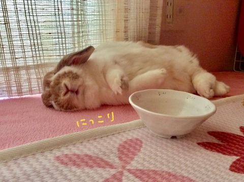 8F6E1A5A-ED5E-4550-9AAC-662201CA07B3