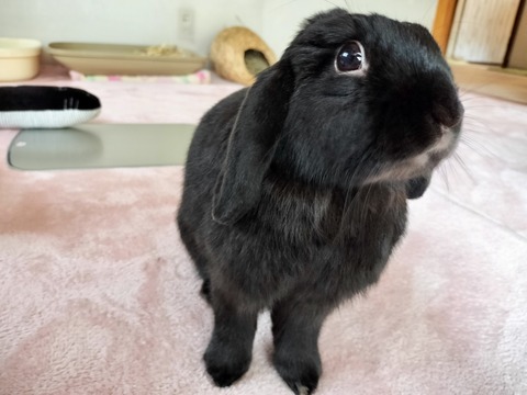 4D5CDB03-78F1-4589-9F8F-3C736F446005