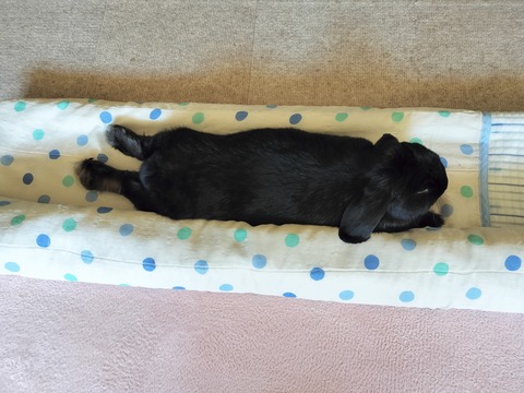 C7FA6558-7565-401A-9BF4-A04A932F65D8