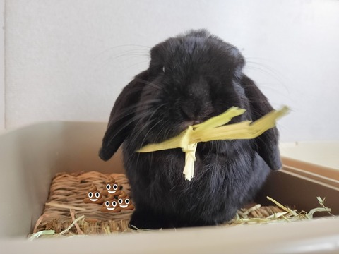 B55F0B3B-FD69-460A-B6FD-762948BAE212