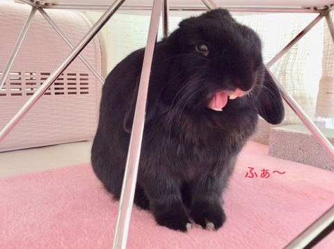 8E94A72A-0012-47C5-BE42-A1311D02A70A