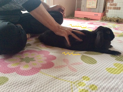 D0EF22E9-5B32-4333-9470-F11FC4A3C820