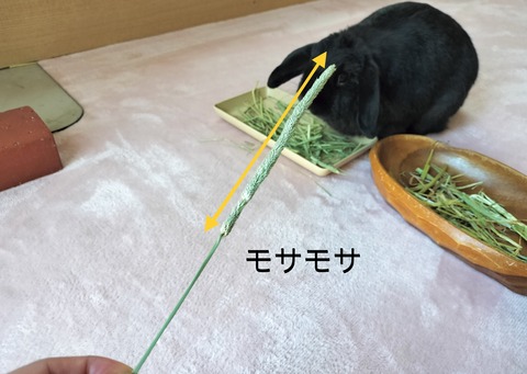 FCE0AC67-8B92-42B1-8FD2-9E52B9F1AE13